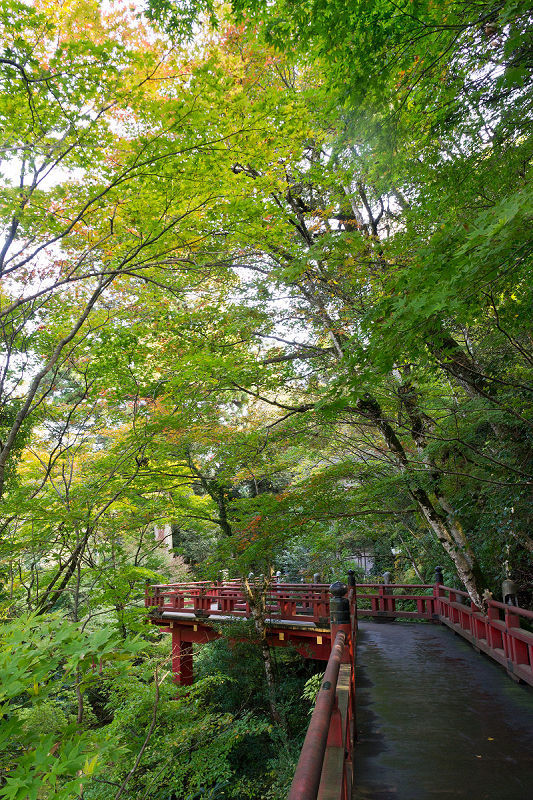 f0377241_22400889.jpg