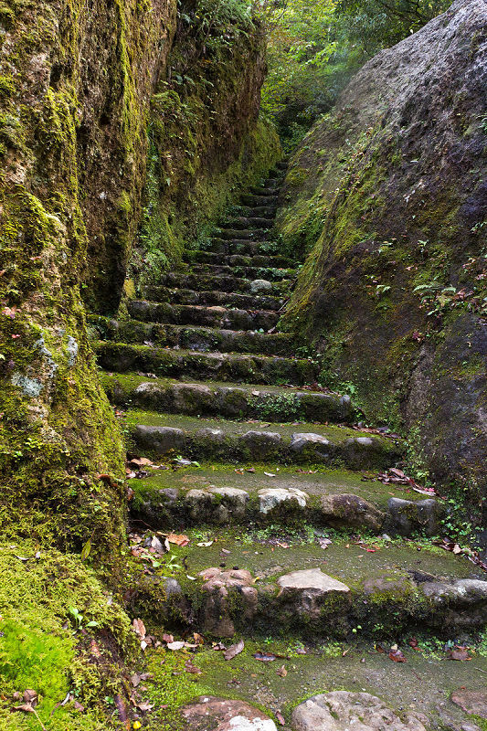 f0377241_22402865.jpg
