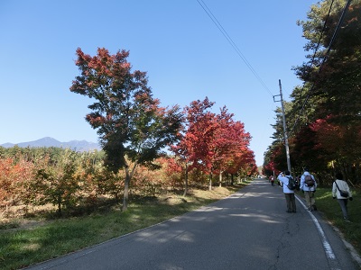f0019247_23391293.jpg