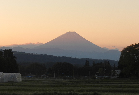 e0172950_1933466.jpg