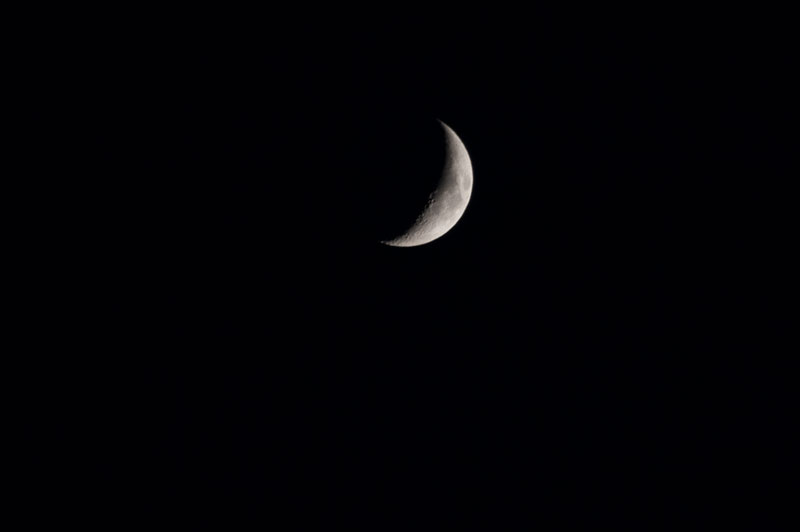 d0342652_10292694.jpg