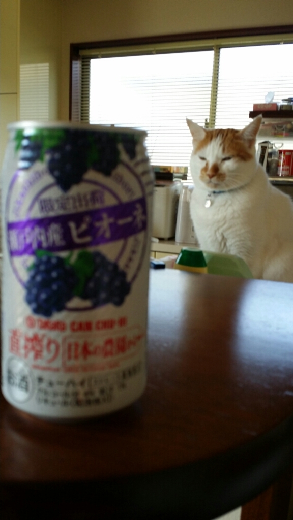 f0046854_14082243.jpg