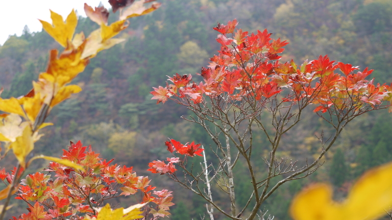 b0370155_16013657.jpg