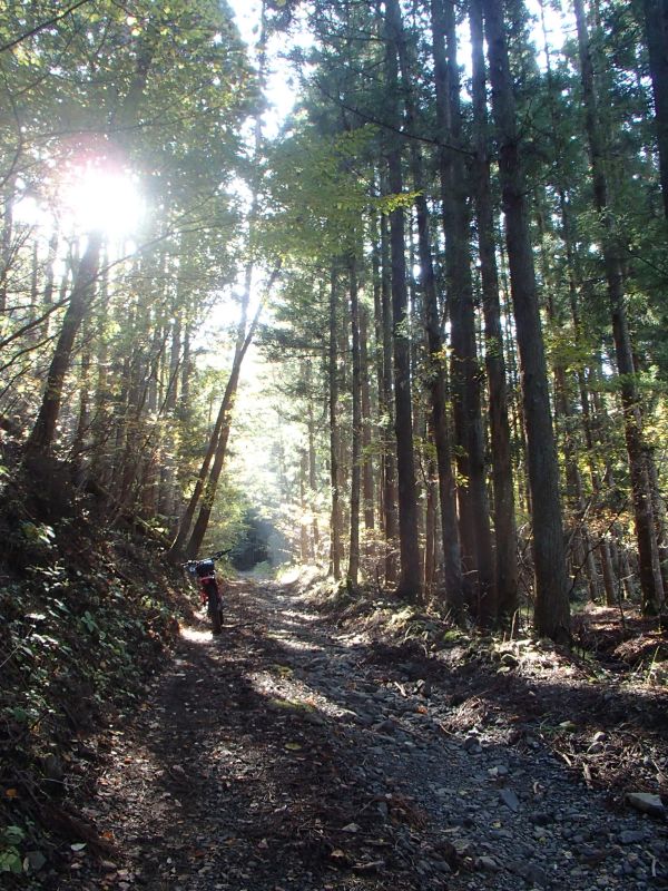 f0119755_1554425.jpg