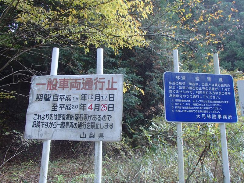 f0119755_1594583.jpg
