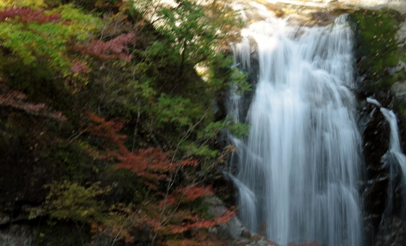 a0355356_13374368.jpg