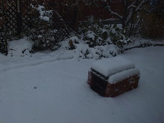 e0004756_2183910.jpg