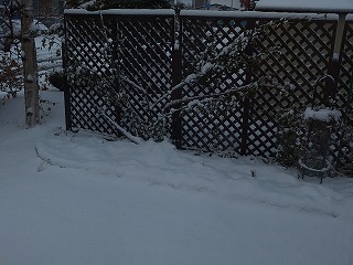 e0004756_2193278.jpg