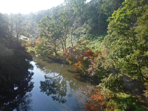 b0045357_13013241.jpg