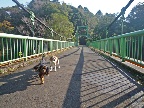 b0045357_13013550.jpg