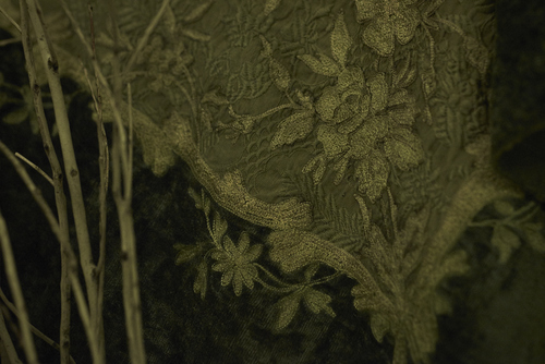 La nuit Belle Epoque ~大切な夜~_d0162257_453541.jpg