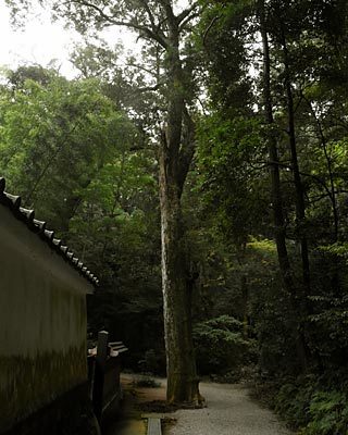 e0035757_23315072.jpg