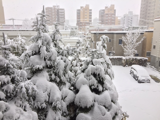 11月初めの雪_f0009457_16104471.jpg