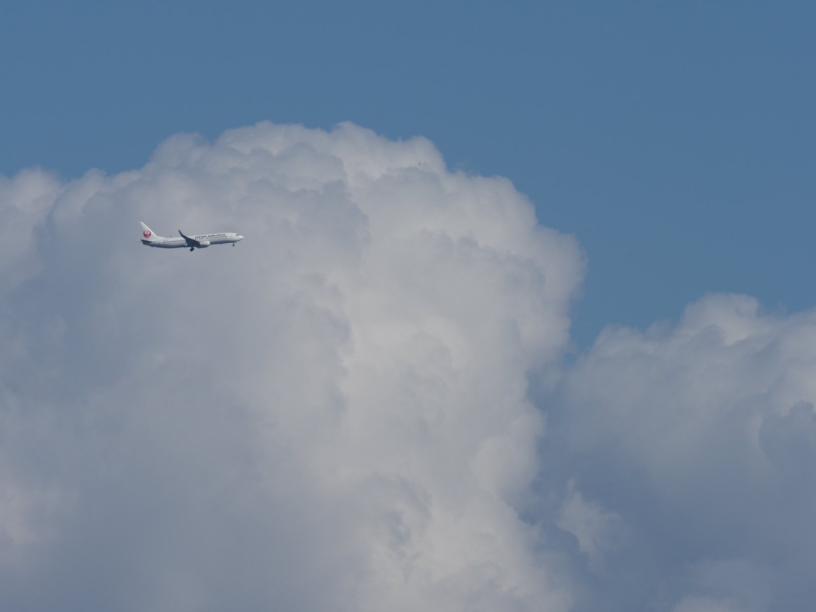 a0288259_17565823.jpg