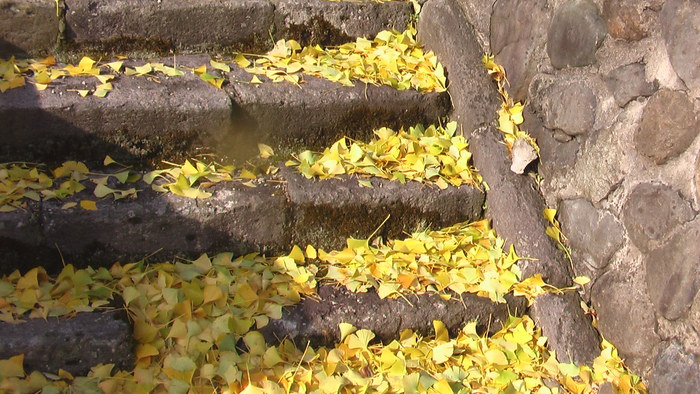 b0208961_13102519.jpg