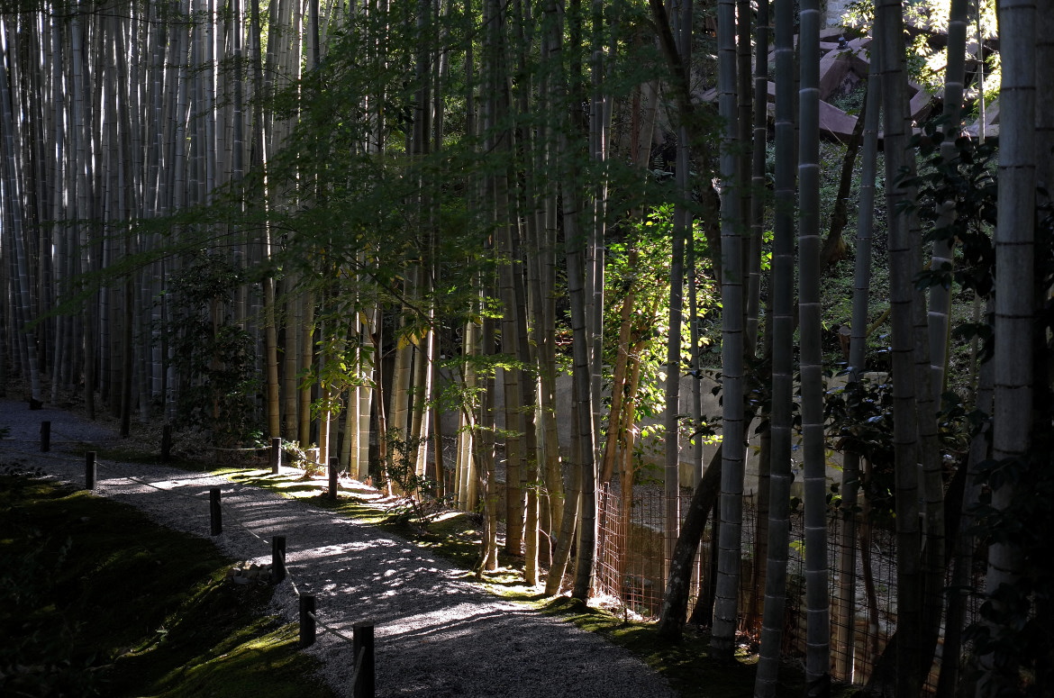 京都・洛北・圓光寺_d0090161_9254636.jpg