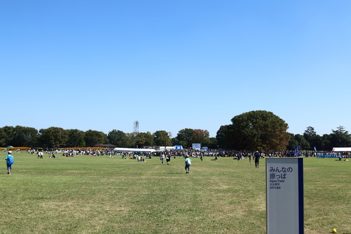 d0152261_19541316.jpg