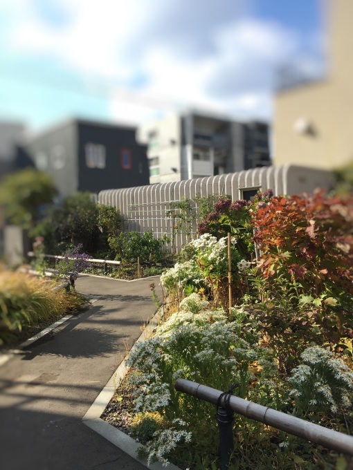d0240961_11281813.jpeg