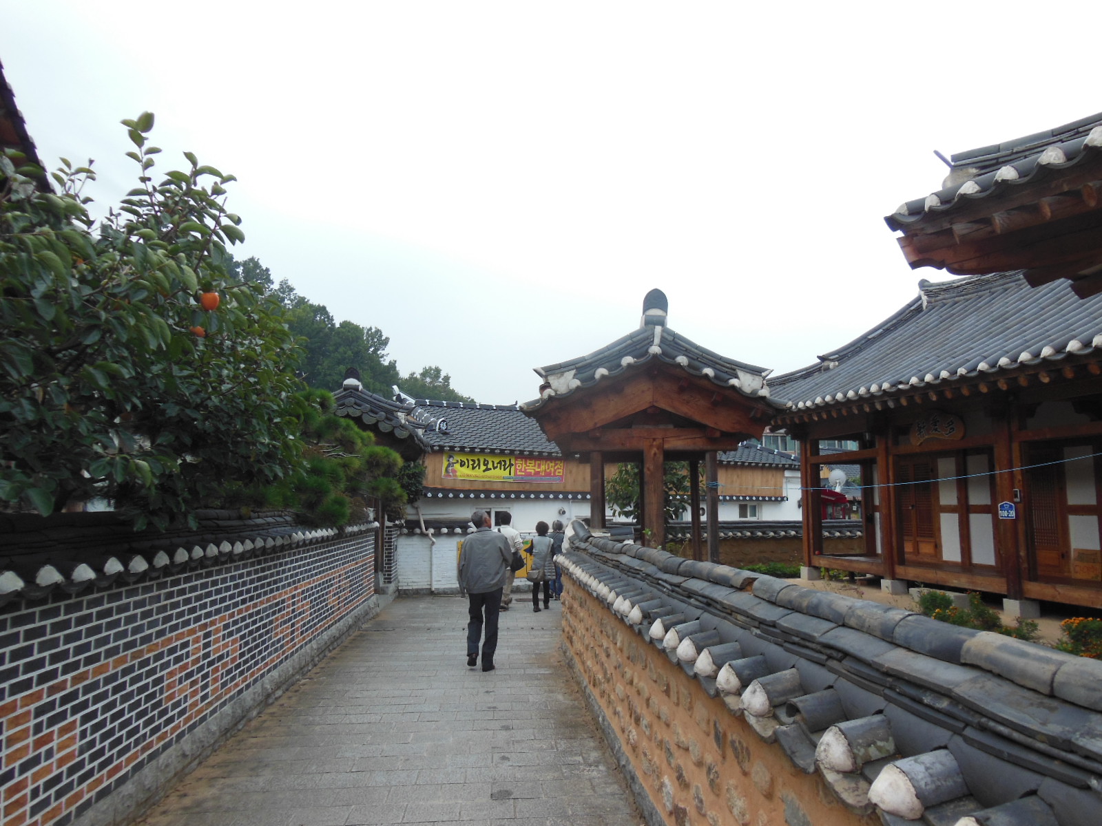 韓国旅行記・全州　水原_f0133861_875445.jpg