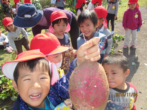 いも掘り遠足♪_f0324461_10161973.jpg