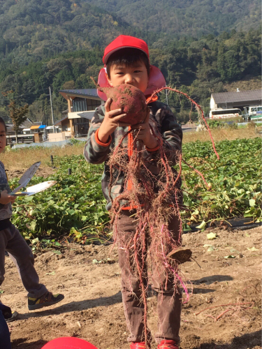 いも掘り遠足♪_f0324461_11314802.jpg