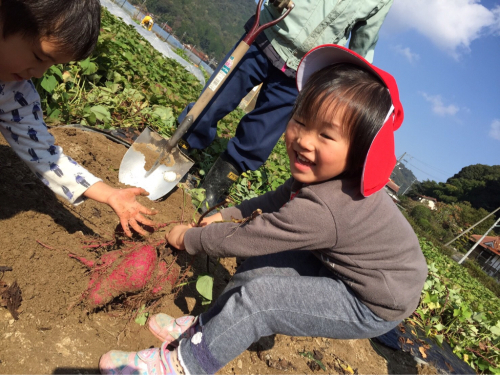いも掘り遠足♪_f0324461_11314977.jpg