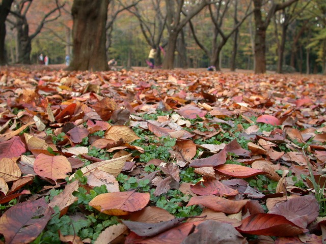 c0008664_19475145.jpg