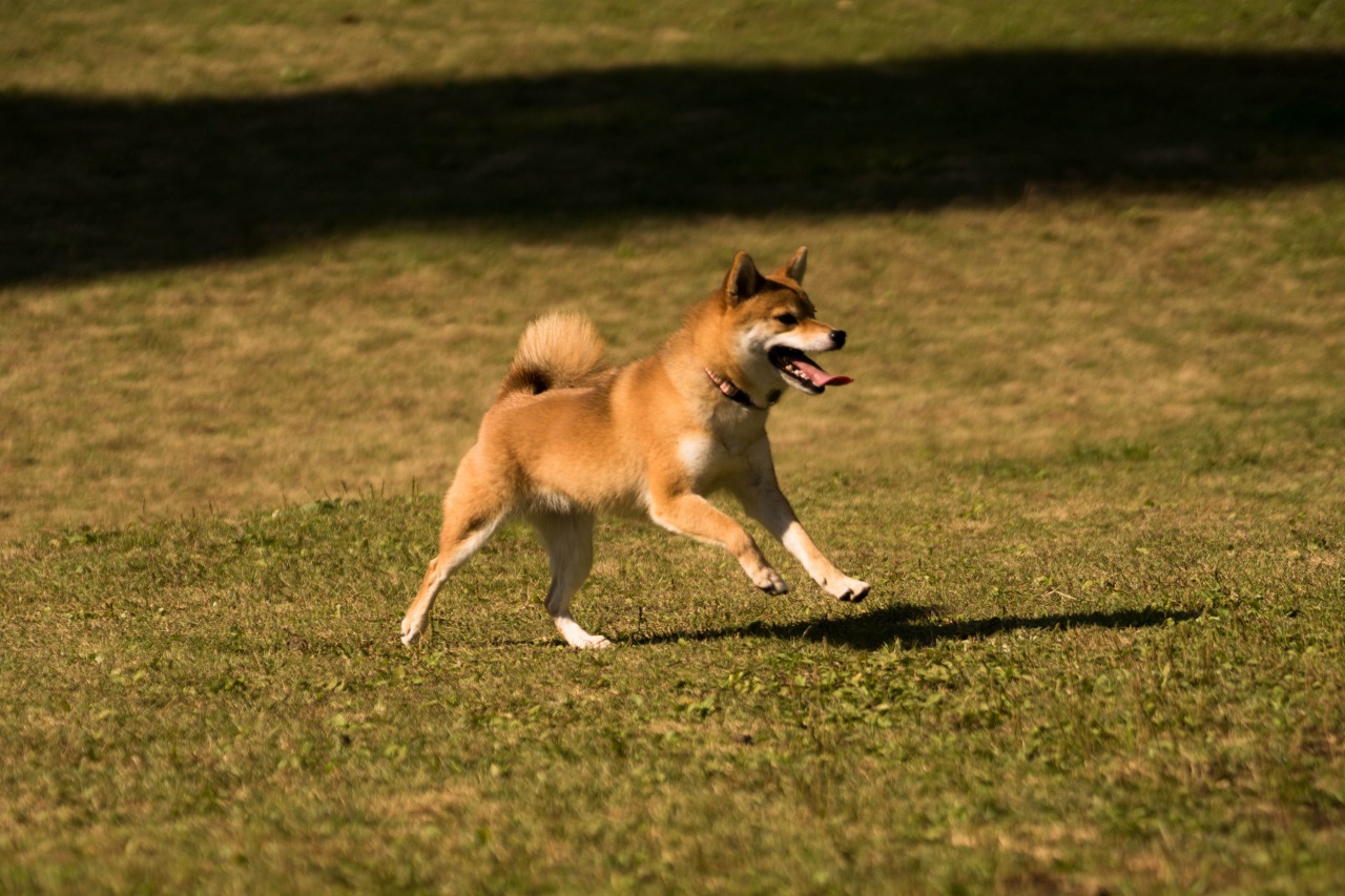 c0260264_164758.jpg