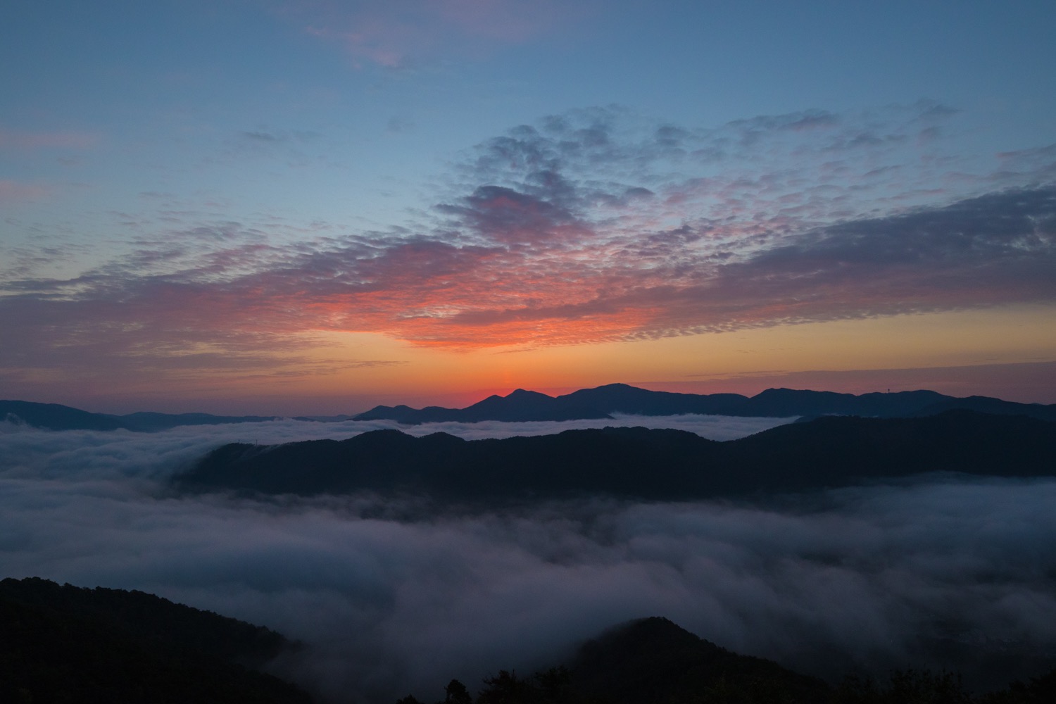 安佐北区「荒谷山の雲海」_b0222467_19322911.jpg