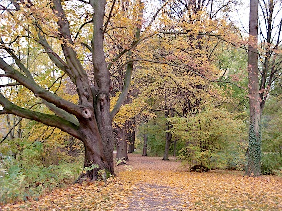 e0357367_04202424.jpg