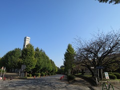 f0045667_17302557.jpg