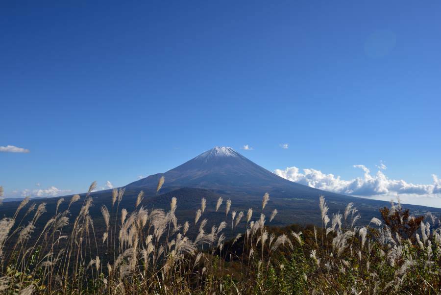 b0346568_10270982.jpg