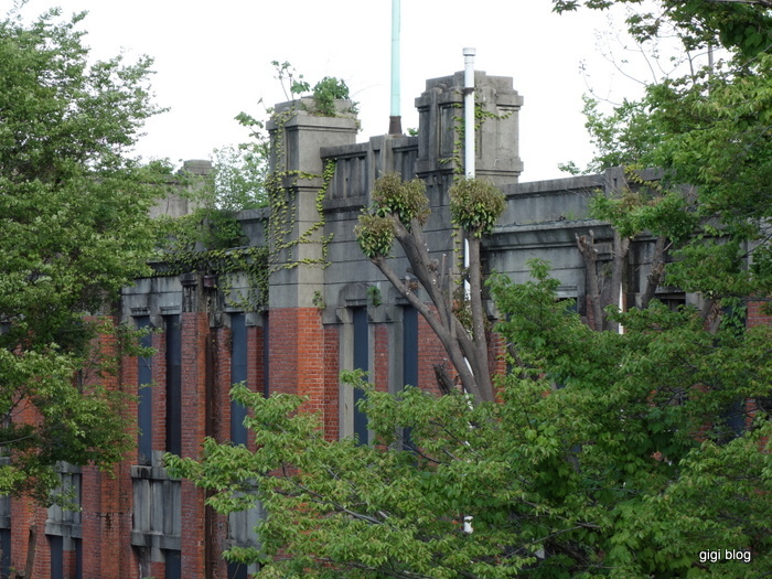 f0374868_16590785.jpg