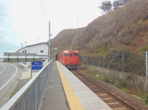 b0158170_17331951.jpg