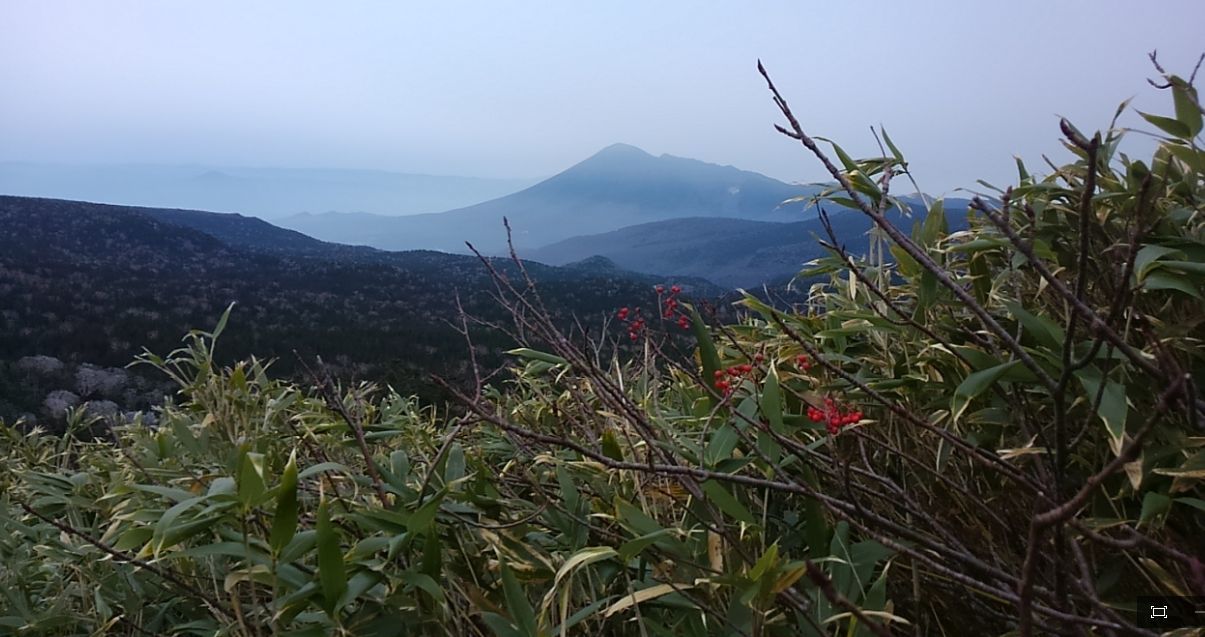 b0158170_17353378.jpg