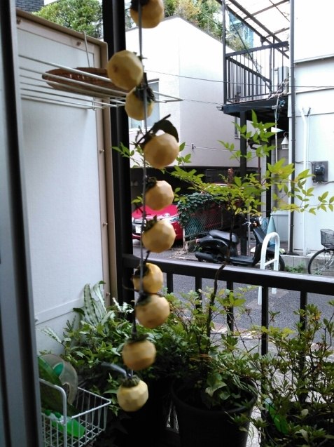 c0162773_12251597.jpg