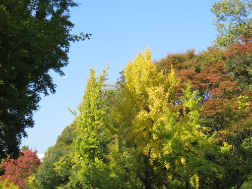f0259373_13180450.jpg