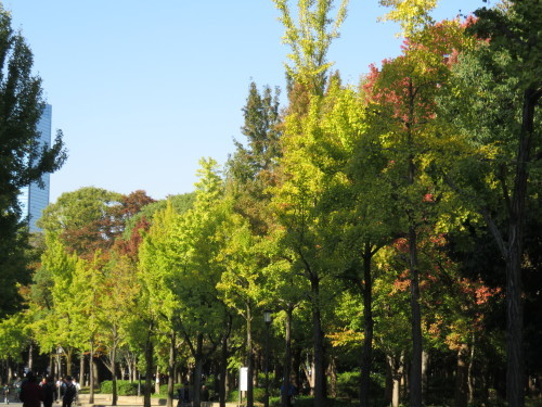 f0259373_13182040.jpg