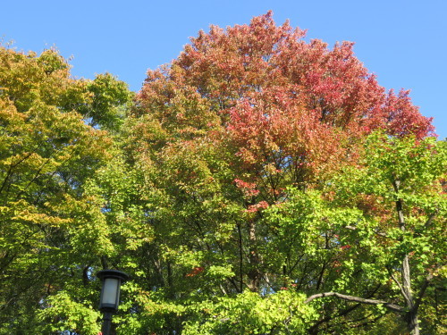 f0259373_13183175.jpg