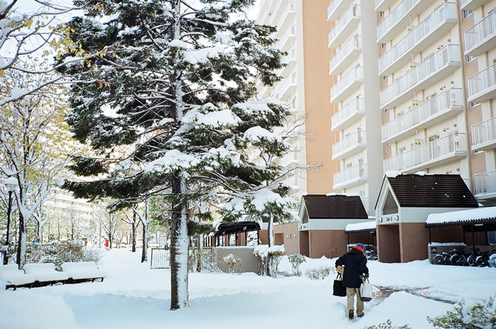 今日の積雪と大学院指導生の発表資料チェック_c0182775_1771277.jpg