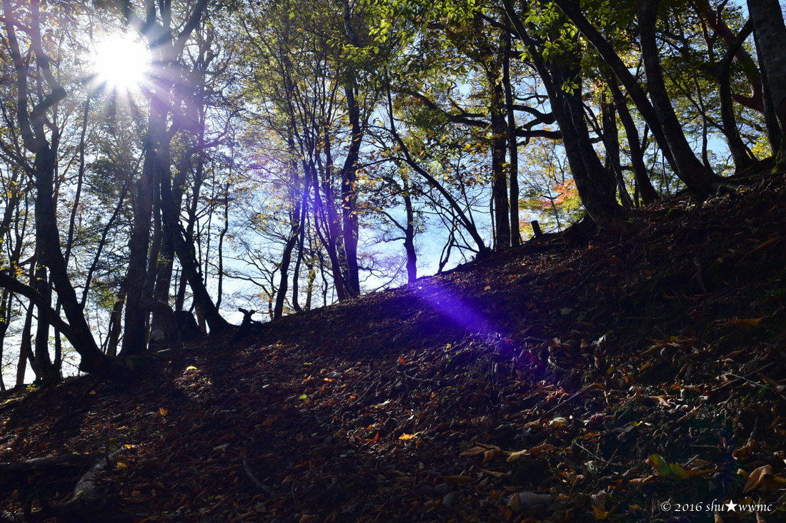 a0142976_20114491.jpg
