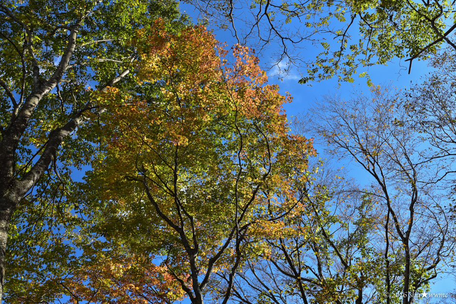 a0142976_20124477.jpg