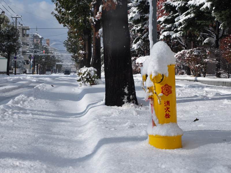 雪がものすごく降ったり、晴れたりの「今シーズン札幌市内初雪」の半日　１１０６　_c0183777_19243624.jpg