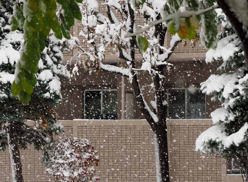 雪がものすごく降ったり、晴れたりの「今シーズン札幌市内初雪」の半日　１１０６　_c0183777_203163.jpg