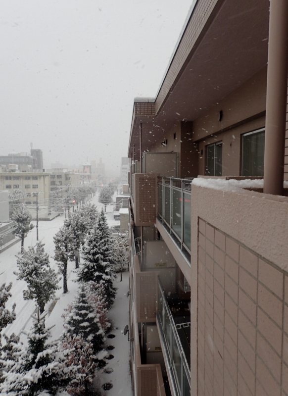 雪がものすごく降ったり、晴れたりの「今シーズン札幌市内初雪」の半日　１１０６　_c0183777_7433098.jpg