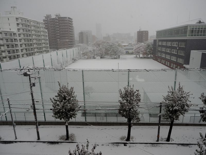 雪がものすごく降ったり、晴れたりの「今シーズン札幌市内初雪」の半日　１１０６　_c0183777_744404.jpg