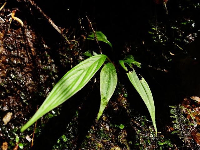 a0067578_1313257.jpg