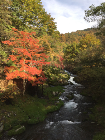 10月の八ヶ岳（後編）_e0190984_21240031.jpg