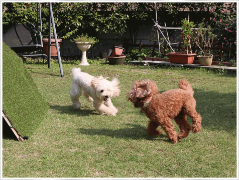 b0175688_23353189.gif