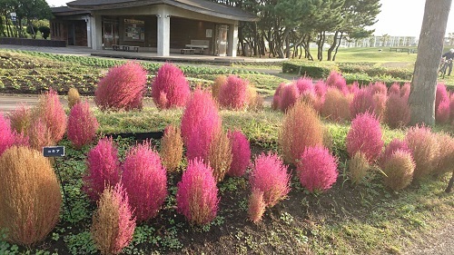 c0337990_18093677.jpg